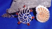 Ammonites thumbnail